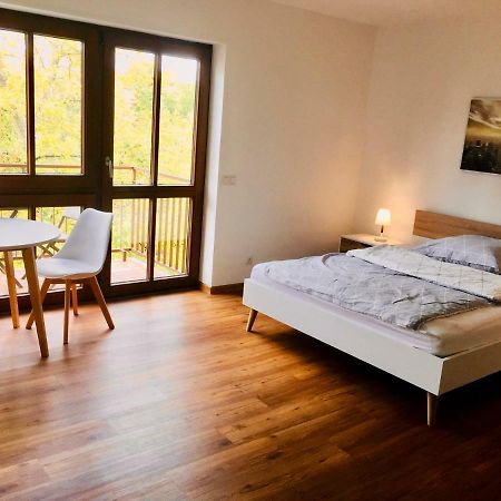 Modernes Studio Im Herzen Von Neustadt: Pfalzliebe Нойштадт-ан-дер-Вайнштрасе Экстерьер фото